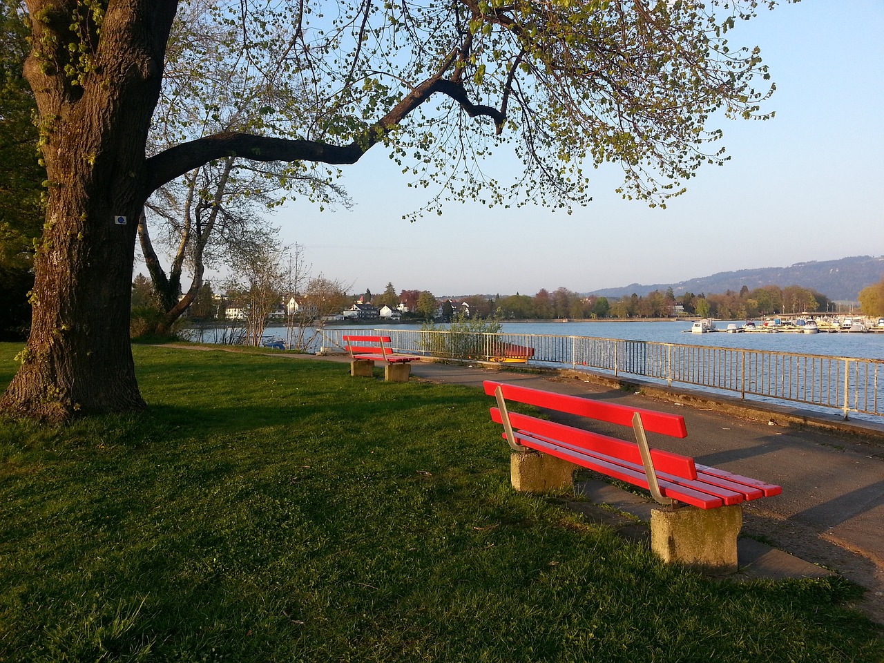 阿夫迪亚成50年来开拓者首位3场砍90+30+30球员